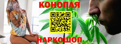 гашик Донской