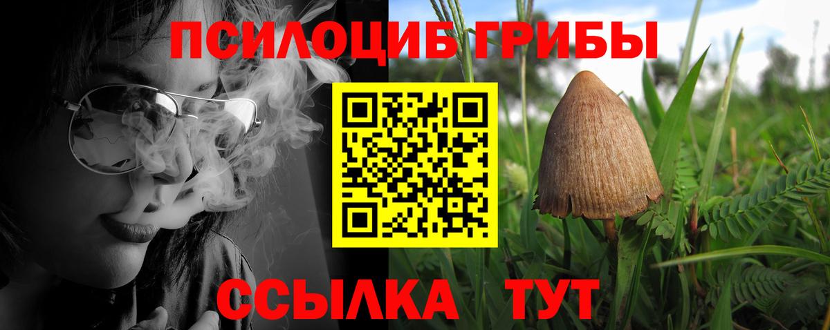 купить наркотики сайты  Галлюциногенные грибы Cubensis  Галлюциногенные грибы мухоморы  Вход с VPN  Люберцы 